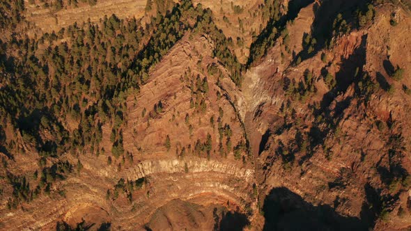 Aerial dolly tilt up over forest growing on edge of caldera at dawn alt