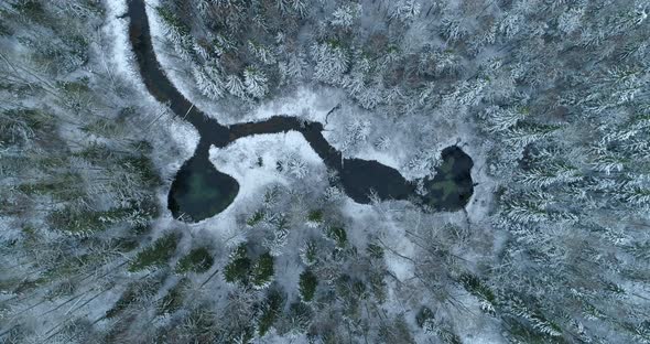 Fresh Water Springs and River in Snowy Winter Forest Aerial Top Down View alt