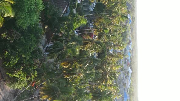 Zanzibar Tanzania  Houses on Tropical Island Slow Motion alt