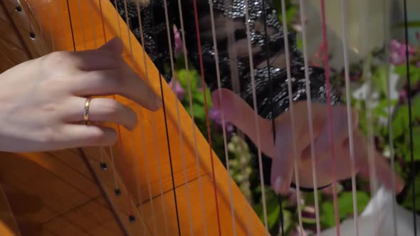 Woman Plays Harp