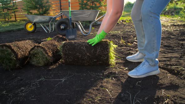 Yard and Garden Landscaping Concept alt