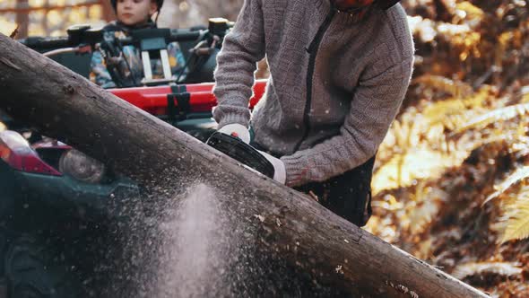 An Autumn Forest - Man Cutting Wood with a Chainsaw While His Kid Waits for Him in an ATV alt