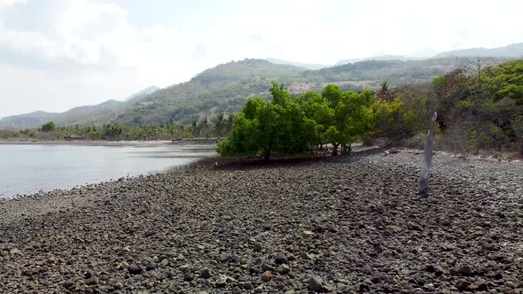 Reverse arial drone over remote pebble beach with coastal trees and natural mangrove ecosystem in th alt