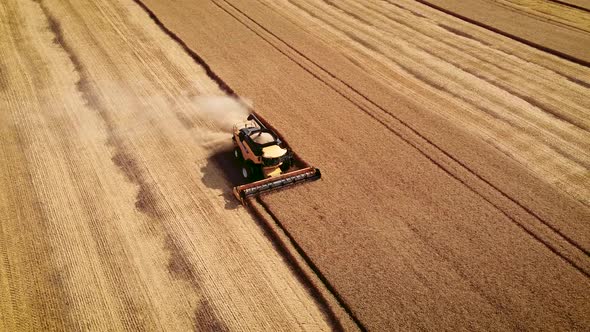 Wheat Harvest Aerial View