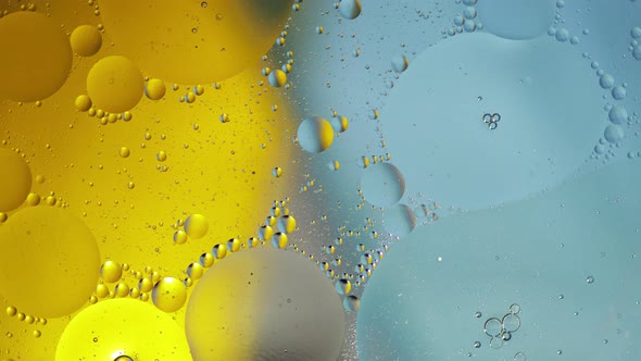 Macro Structure of Colorful Oil Bubbles. Chaotic Motion. Abstract Multicolored Background. Pattern alt