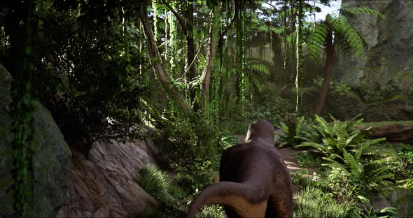 Two Tyrannosauruses Meet Each Other in the Jungle