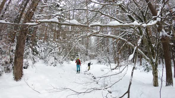 Splitboard and Ski touring Concept. Uphill in a line in the mountains forest woods.  alt
