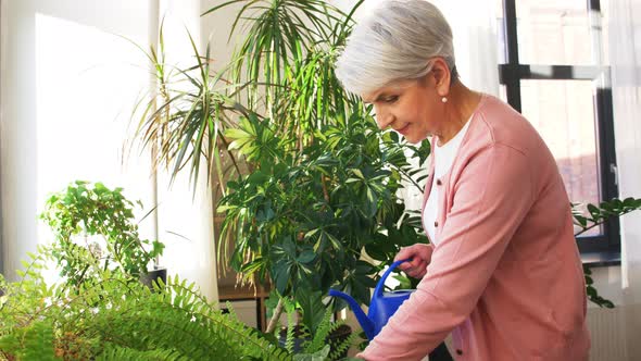 Senior Woman Watering Houseplants at Home alt