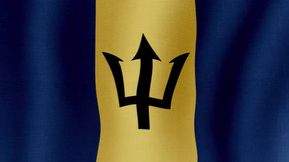 The National Flag of Barbados