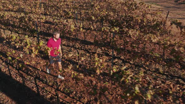 Aerial View of Picturesque Rural Landscape in Southern Europe alt