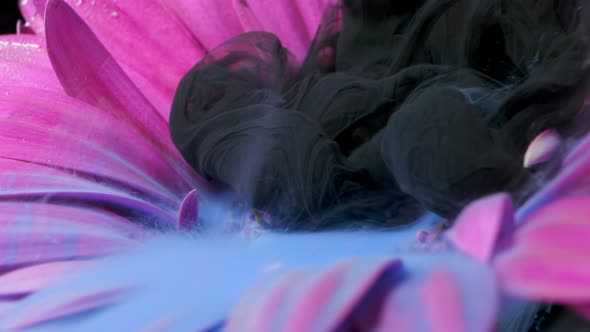 Colorful Paint Ink Flows a Flower Into the Water alt