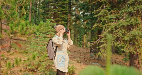 Female Traveler Taking Pictures of the Green Forest on Sunny Autumn Day alt
