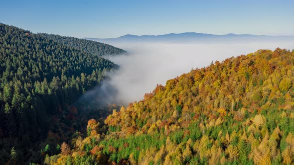 Aerial hyperlapse flying over fog covered mountain forest in autumn color alt