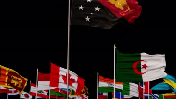 Papua New Guinea Flag With World Flags In Alpha Channel
