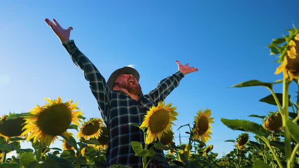 Senior Screaming Man Farmer Standing on Farmland with Arms Raised Up Joyful Elated Happiness alt
