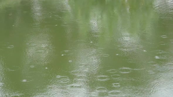 Beautiful ripples on a tranquil pond.