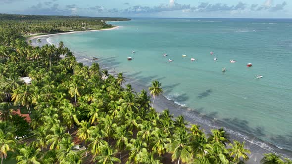 Northeast Brazil. Sao Miguel dos Milagres Beach at Alagoas Brazil. alt