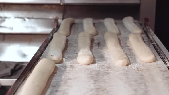 Making a Loaf of Bread in the Bakery. Loaf of Bread on the Production Line in the Baking Industry
