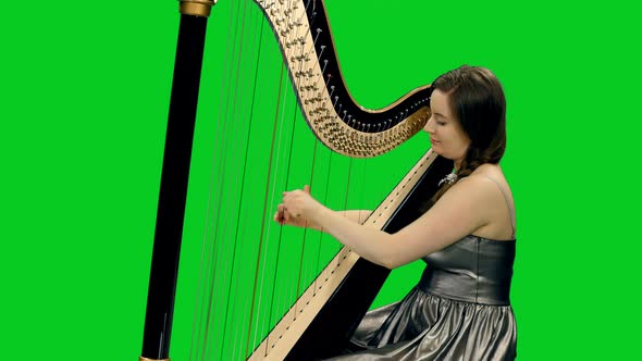 Young Attractive Woman Playing Harp On Green Screen