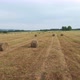 Hay Rolls - VideoHive Item for Sale