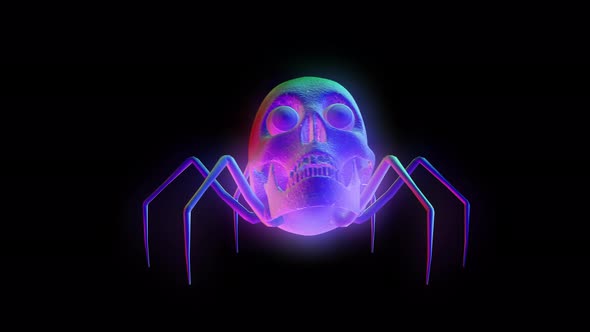 4K Rainbow skull spider with alpha