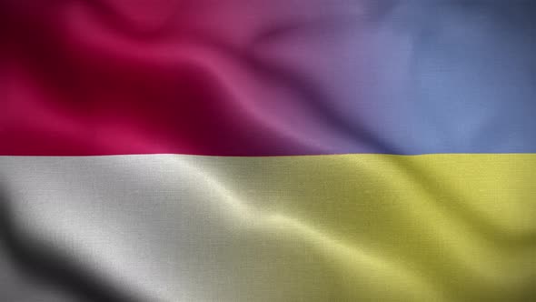 Ukraine Monaco Flag Loop Background 4K