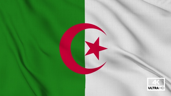 Algeria Flag Waving Slowly Looped alt