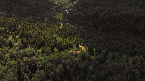Cinematic Aerial View Of Pine Woods In Caucasus Mountains alt