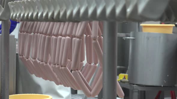 Meat Processing Plant and Food Industry