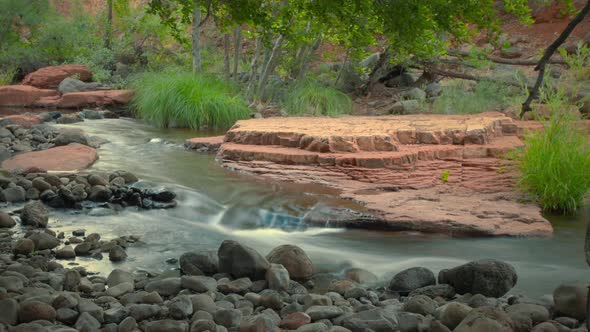 Creek Through Forest Scenic Water Timelapse Zoom Out