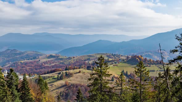 Coniferous Treetops Against Highland Valley and Mountains alt