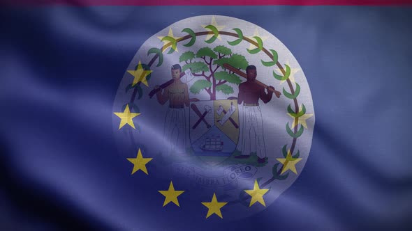 EU Belize Flag Loop Background 4K