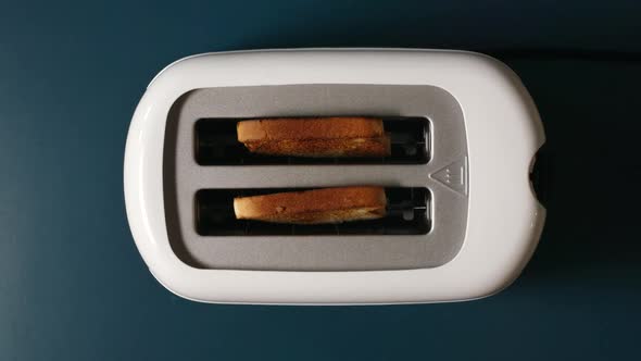 TOP VIEW: Roasted bread jump out from a white toaster on a blue table
