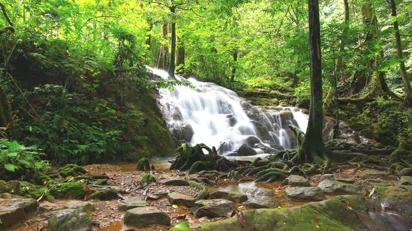 Time Lapse Tropical Waterfall In Deep Forest alt