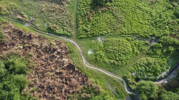 Aerial view dry grass in meadow  alt