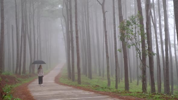 Slow motion of a young woman with umbrella walking alone in the woods on foggy day