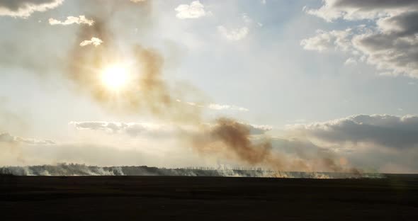 Large Scale Fire In The Field Burning Dry Grass On A Background Of Sky And Sun alt
