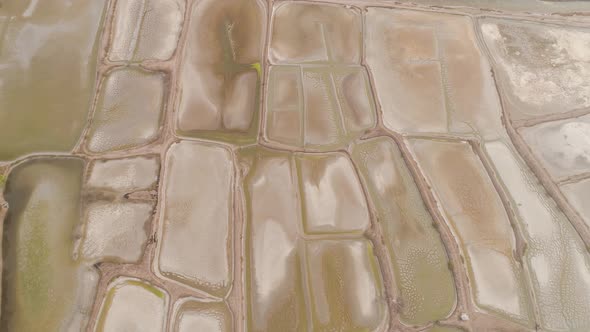 Fish Ponds in Surabaya Java Indonesia alt