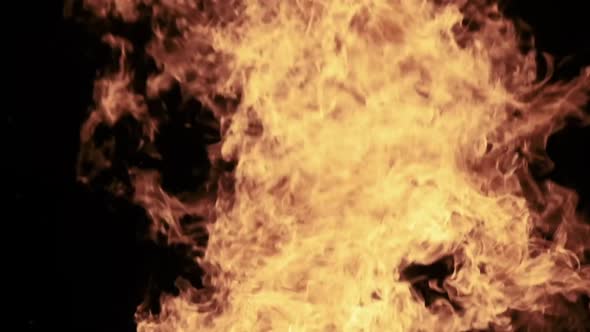 Fire Flames on a Black Background in Slow Motion Bonfire Burning at Night alt