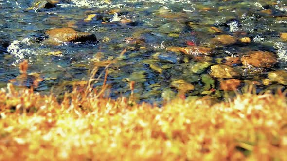 Dolly Slider Shot of the Splashing Water in a Mountain River Near Forest alt