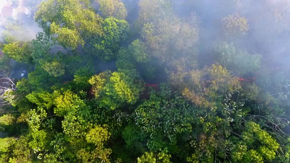 Aerial view above a burnt smoking forest area, aftermath of a wildfire - top down, drone shot alt