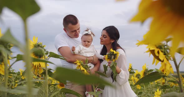 A Family With A Child On A Walk In A Sunflower Field