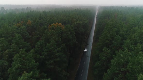 Aerial View of a White Car Driving on a Forest Road