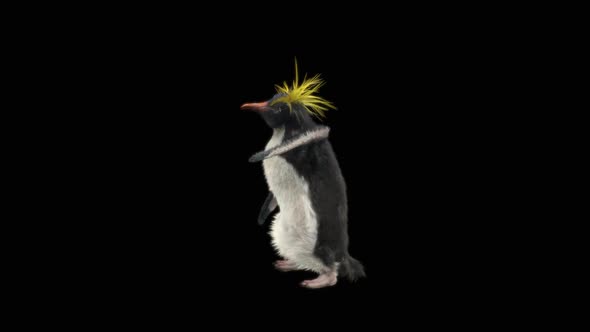 Penguin Dancing HD alt