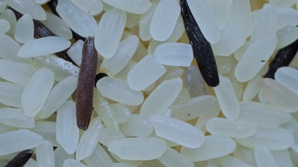 Heap of Brown and White Rice on Rotating Surface Close Up