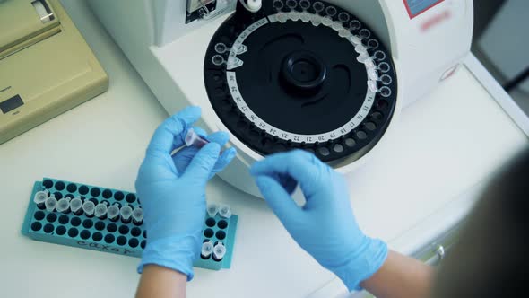 Laboratory Worker Loads Centrifuge with Samples. alt
