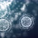 Microscopic Cells Organism 02 - VideoHive Item for Sale