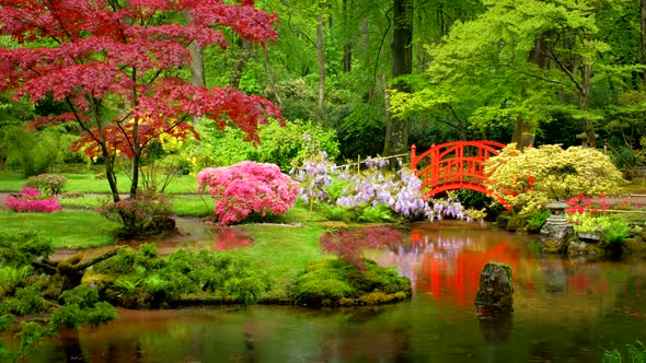 Japanese Garden, Park Clingendael, The Hague, Netherlands