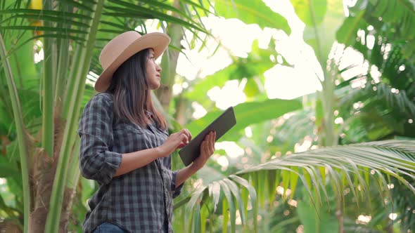 Young woman farmer monitoring orchard and sends data to the cloud from the tablet.