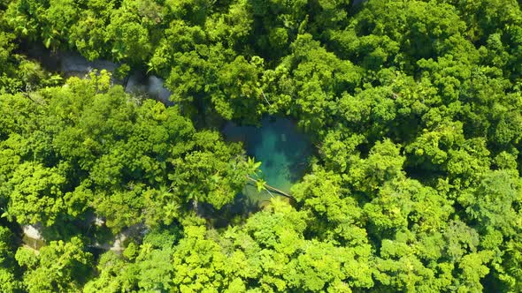 Aerial, A Hidden Paradise Lake In The Middle Of Rain Forest In Queensland, Australia